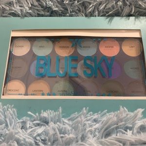 Blue Sky Eyeshadow Palette & Ellen Tracey Natural Nudes Eyeshadow Palette.